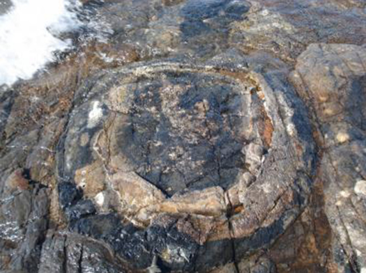Ever ponder what the earth could have smelled like 1.9 billion years ago? Scientists may have <a href="http://www.ox.ac.uk/media/news_stories/2013/130430.html">uncovered the ancient stench</a> based on fossils found around Lake Superior in Canada. A team of researchers has published a report in this week's <em>Proceedings of the National Academy of Sciences</em> that show fossil evidence of how ancient microbes feasted on Gunflinitia, a cyanobacterium-like fossil, a type of feeding called hetereotrophy. "What we call 'heterotrophy' is the same thing we do after dinner as bacteria in our gut break down organic matter," said one of the paper's authors and Oxford Professor Martin Brasier in a statement. This, in fact, is not very different from modern bacteria feeding, emitting a tell-tale smell of hydrogen sulfide--in other words, the stench of rotten eggs. "So rather surprisingly, we can say that life on earth 1,900 million years ago would have smelled a lot like rotten eggs," Brasier said.