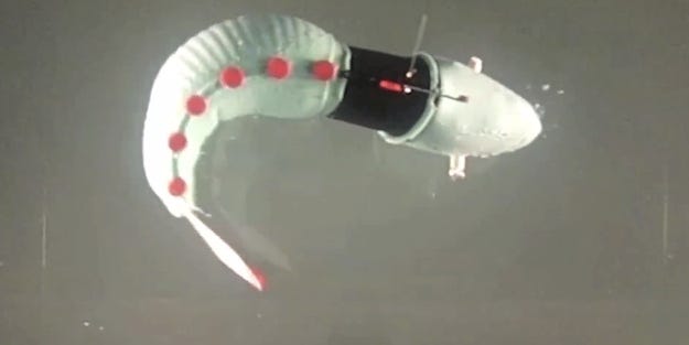 Robotic Fish and Inflatable Tentacles: How MIT is Solving Hard Problems with Soft Robots