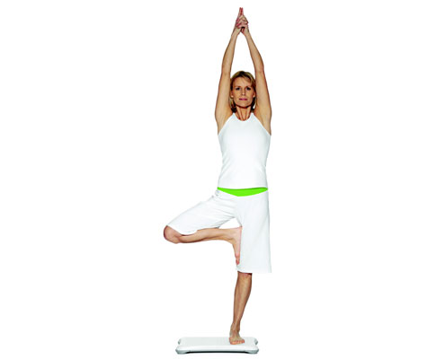 Among the nearly 40 activities offered, Wii Fit provides various Yoga poses such as the tree pose (shown), the warrior, and the half moon.
