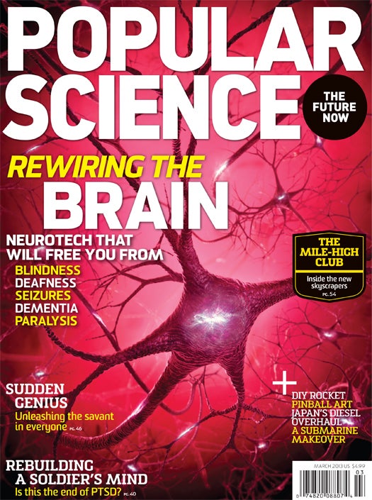 March 2013: Rewiring The Brain