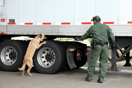 Border Patrol agents employ backscatter x-rays to detect cash, drugs, firearms, humans and other contraband, but nothing is more effective than a dog's nose.
