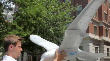 Video: What We Saw at the World Science Festival's Innovation Square