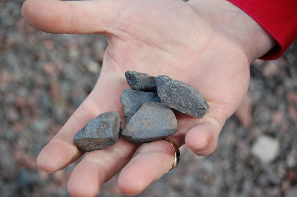 Chunks of hematite and magnetite, found scattered on the ground at the Pea Ridge iron mine in Sullivan, Mo., contain iron, phosphorus and trace amounts of rare earth metals. Later this year, the mine's owner aims to become the second producer of rare earth metals in the western hemisphere.