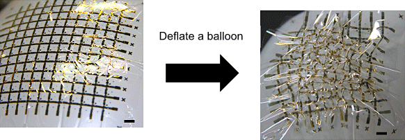 two photos showing a flexible sensor array taped onto an inflated, then deflated, balloon