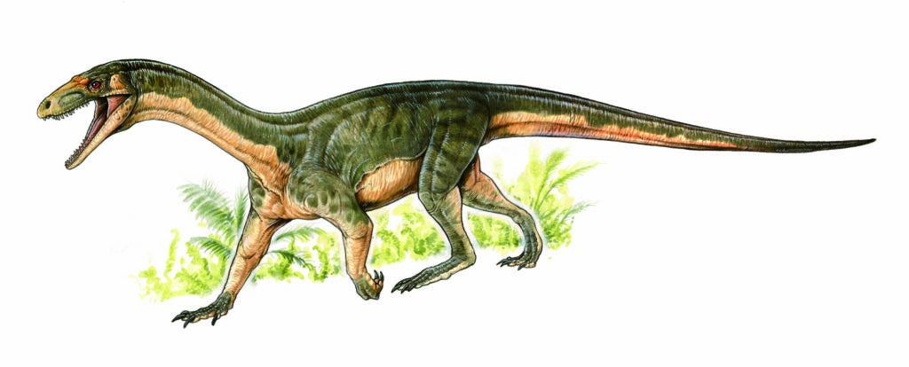 dinosaur like lizard with long neck and tail