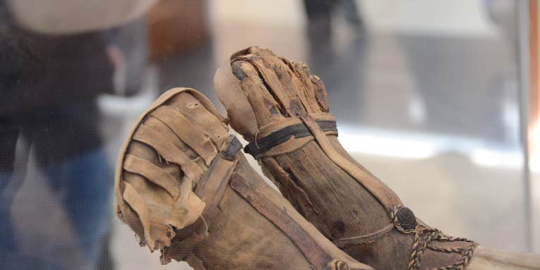 Scientists Just Made A Brand-New Ancient Human Mummy Leg