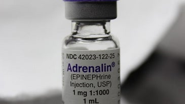 Adrenaline Shots May Not Help People Survive Cardiac Arrest