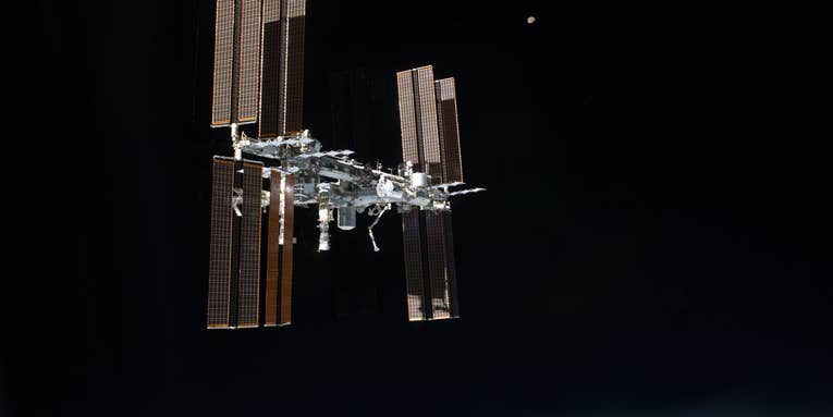 Scientists are trying to figure out which bacteria have colonized our space station