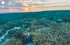Sunrise at Wilson Island on Australia's Great Barrier Reef.