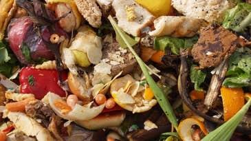 This Earth Day, cut down your food waste