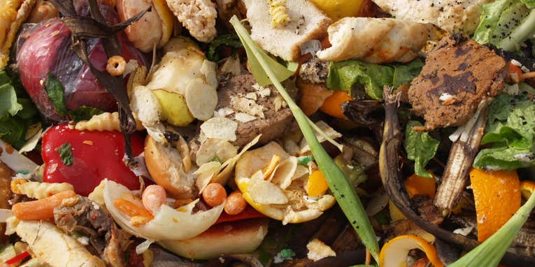 This Earth Day, cut down your food waste