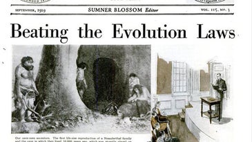Archive Gallery: In Defense of Evolutionary Theory