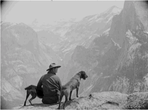 Dogs <3 National Parks, Too