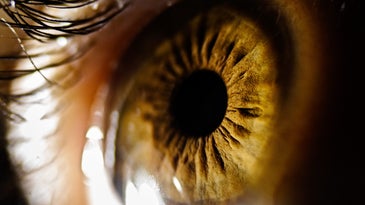 close-up of a human eyeball and hazel-brown iris