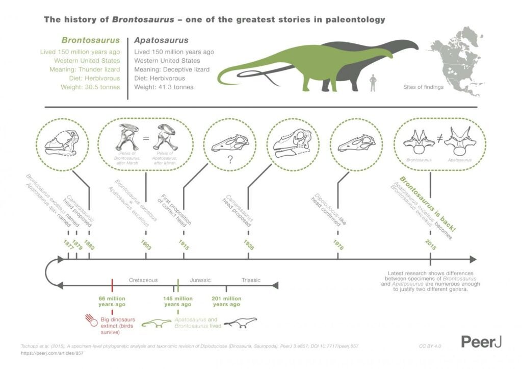 History of Brontosaurus