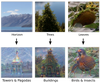 Google's artificial neural network often found similar patterns in images of rocks or trees.