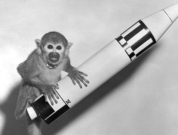 This guy was one of the first two monkeys to survive spaceflight. He lifted off on a Jupiter rocket May 28, 1959, with a rhesus macaque named Able. The monkeys rode in the missile's nose cone to 360 miles above the Earth, well beyond the eventual orbits of the space shuttle and station. The animals were in microgravity for about 9 minutes, and their spacecraft reached a top speed of 10,000 mph, according to <a href="http://history.nasa.gov/animals.html">NASA's History Office</a>. Both survived, but Able died four days later while undergoing surgery to remove a sensor. Incredibly, Baker lived another 25 years until he died Nov. 29, 1984, at the U.S. Space and Rocket Center in Huntsville, Ala.