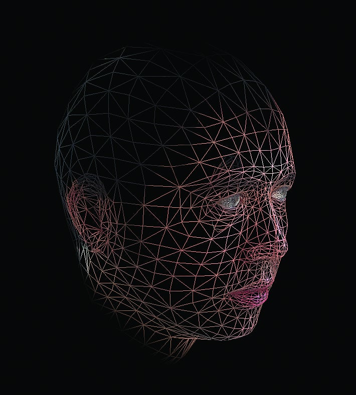 The system builds a wireframe map that can be used to confirm the position of landmarks and facial contours.