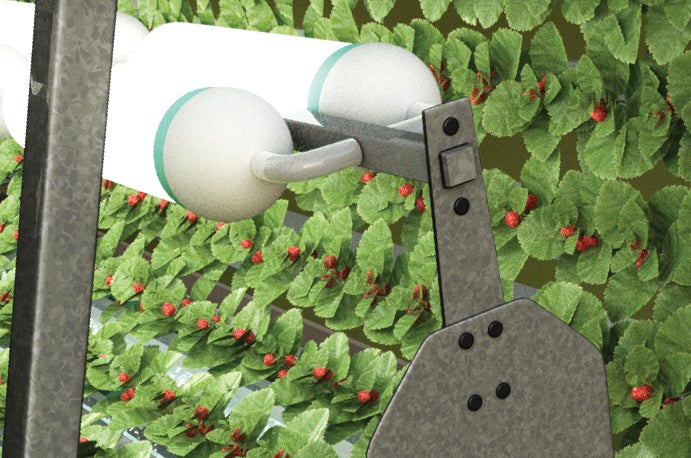 Robotic arms equipped with mechanical noses "sniff" plants and harvest them based on the presence of specific alcohols, a more precise judge of ripeness than color.