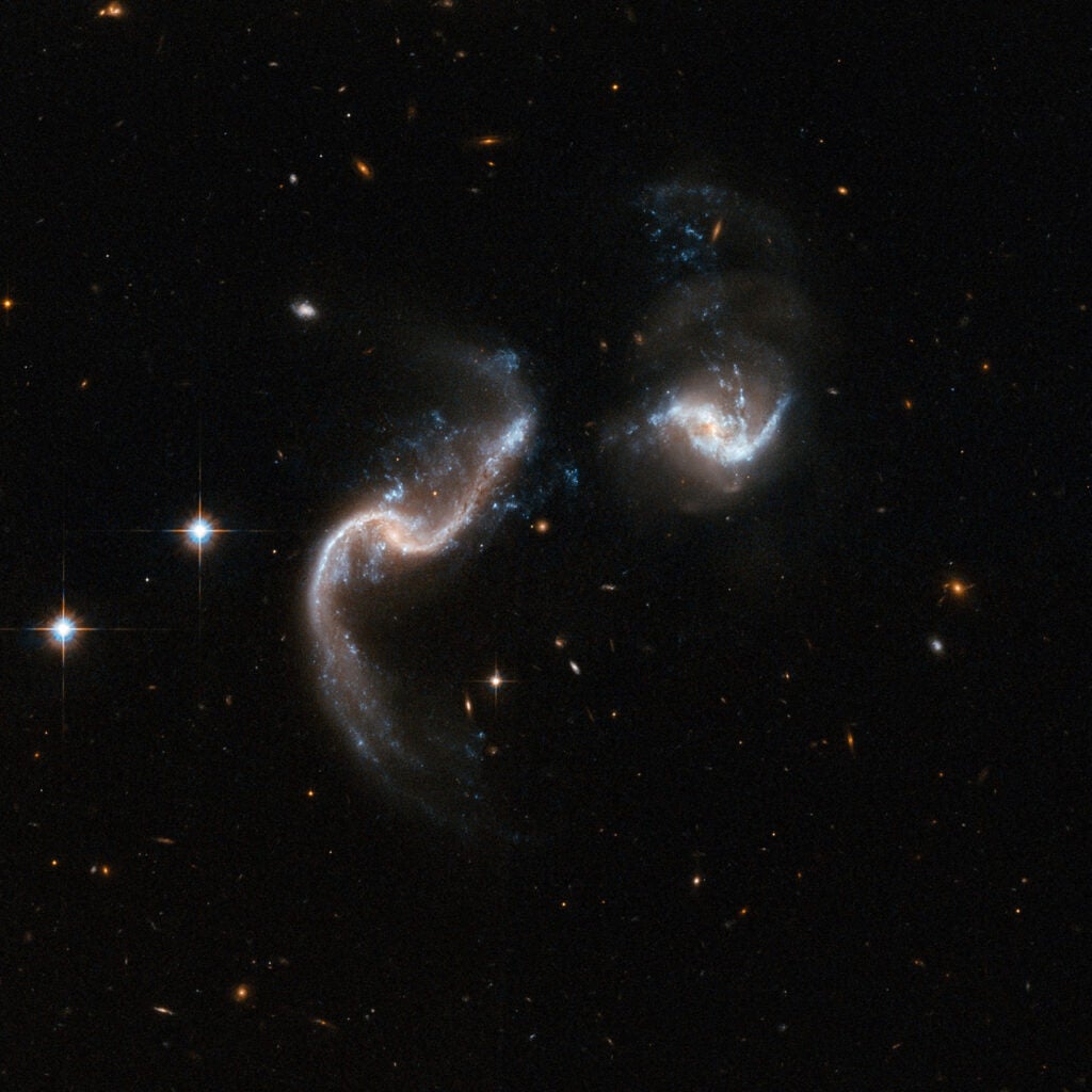 Arp 256 is a stunning system of two spiral galaxies in an early stage of merging. The Hubble image displays two galaxies with strongly disrupted shapes and an astonishing number of blue knots of star formation that look like exploding fireworks. The galaxy to the left has two extended ribbon-like tails of gas, dust and stars. The system is a luminous infrared system radiating more than a hundred billion times the luminosity of our Sun. Arp 256 is located in the constellation of Cetus, the Whale, about 350 million light-years away. It is the 256th galaxy in Arp's Atlas of Peculiar Galaxies.