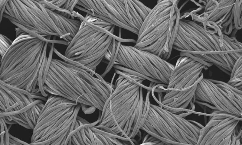 Nanoparticle-coated fabric