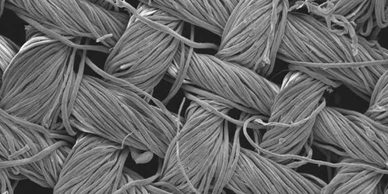 Nanoparticle-Coated Textiles Clean Themselves With Sunlight