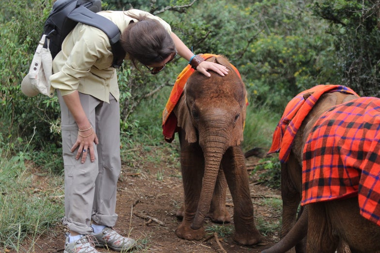 A Visit To An Elephant Orphanage