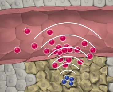 Nanodrug Swarms Use The Human Body’s Biocommunications System to Coordinate Their Attack