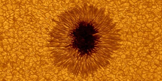 Big Bear Solar Observatory Snaps the Most Detailed Pic of a Sunspot Ever