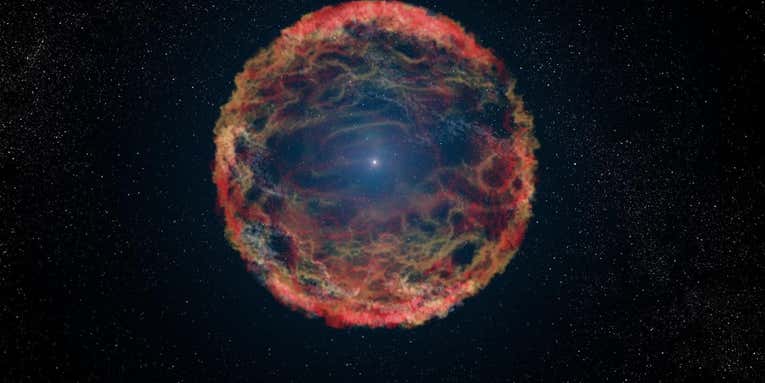 This truly bizarre exploding star might be a zombie of sorts
