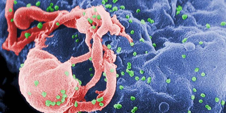 Newly Discovered Antibody Defeats 91 Percent of HIV Strains