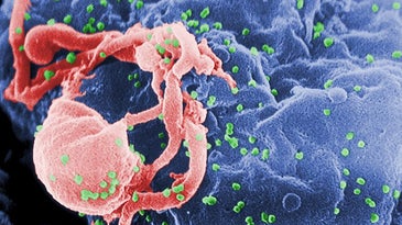 HIV Resistance Through Oral Sex?