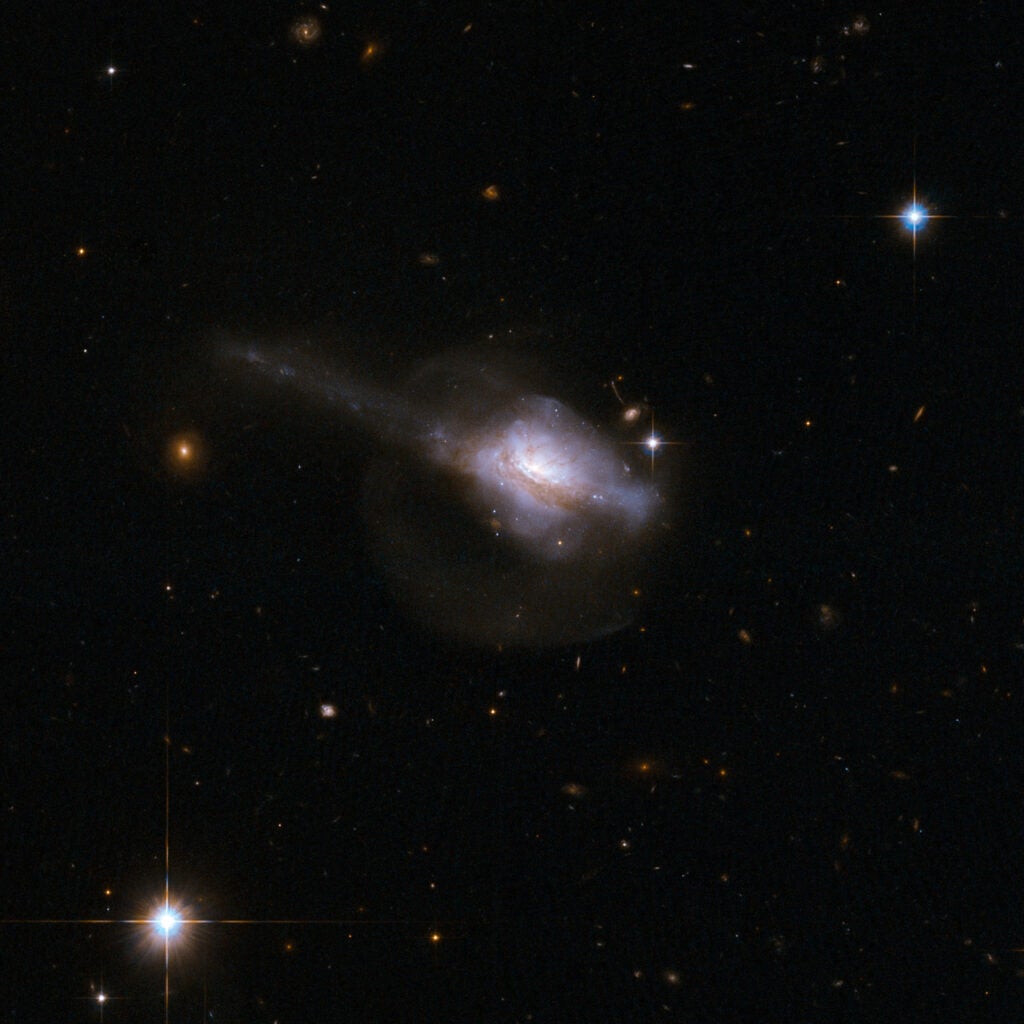 UGC 5101 is a peculiar galaxy with a single nucleus contained within an unstructured main body that suggests a recent interaction and merger. UGC 5101 is thought to contain an active galactic nucleus an extremely bright, compact core - buried deep in the gas and dust. A pronounced tail extends diagonally to the top-right of the frame. A fainter halo of stars surrounds the galaxy and is visible in the image, due to Hubble s ability to collect and detect faint light. This halo is probably a result of the earlier collision. UGC 5101 is about 550 million light-years away from Earth.