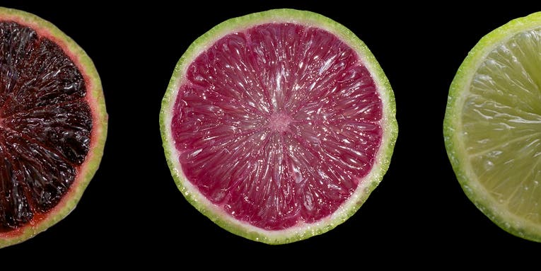 Genetically Modified Limes Are Purpler and More Healthful