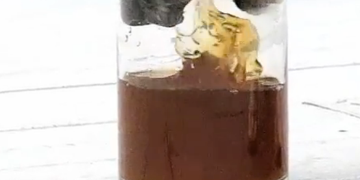 Slow-Motion X-Ray Video Reveals the Slurpy Mechanics of Dogs’ Drinking