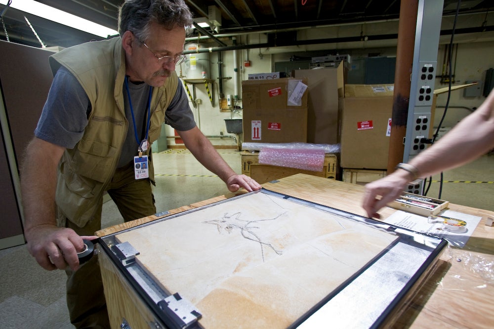 Paleontologist Peter Larson seals the <em>Archaeopteryx</em> fossil in preparation for X-ray imaging at the U.S. Department of Energy's Stanford Synchrotron Radiation Lightsource facility.