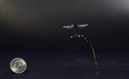 The World’s Smallest Drone Is Like A Tiny Unswattable Bug