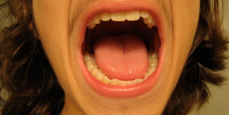 What To Make Of That Saliva Test For Homosexuality