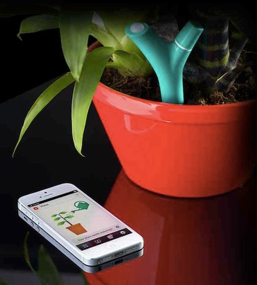 Wouldn't it be nice if your plant told you when it needed water? Okay, so it can't--but the Parrot <a href="http://www.parrot.com/flower-power/#slide-social">Flower Power</a>, Parrot's next "project," is the next best thing. Customers will need to buy one per pot. Once "paired" against a database of plants, the Flower Power will automatically sense whether your plant needs water, fertilizer, or to be moved in and out of shade. It will then wirelessly communicate its needs to your smartphone, reminding you that you'd better water your poor plant before it fries in the sun.