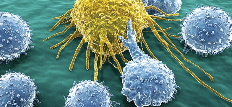 How It Works: Cancer-Fighting Immunotherapy