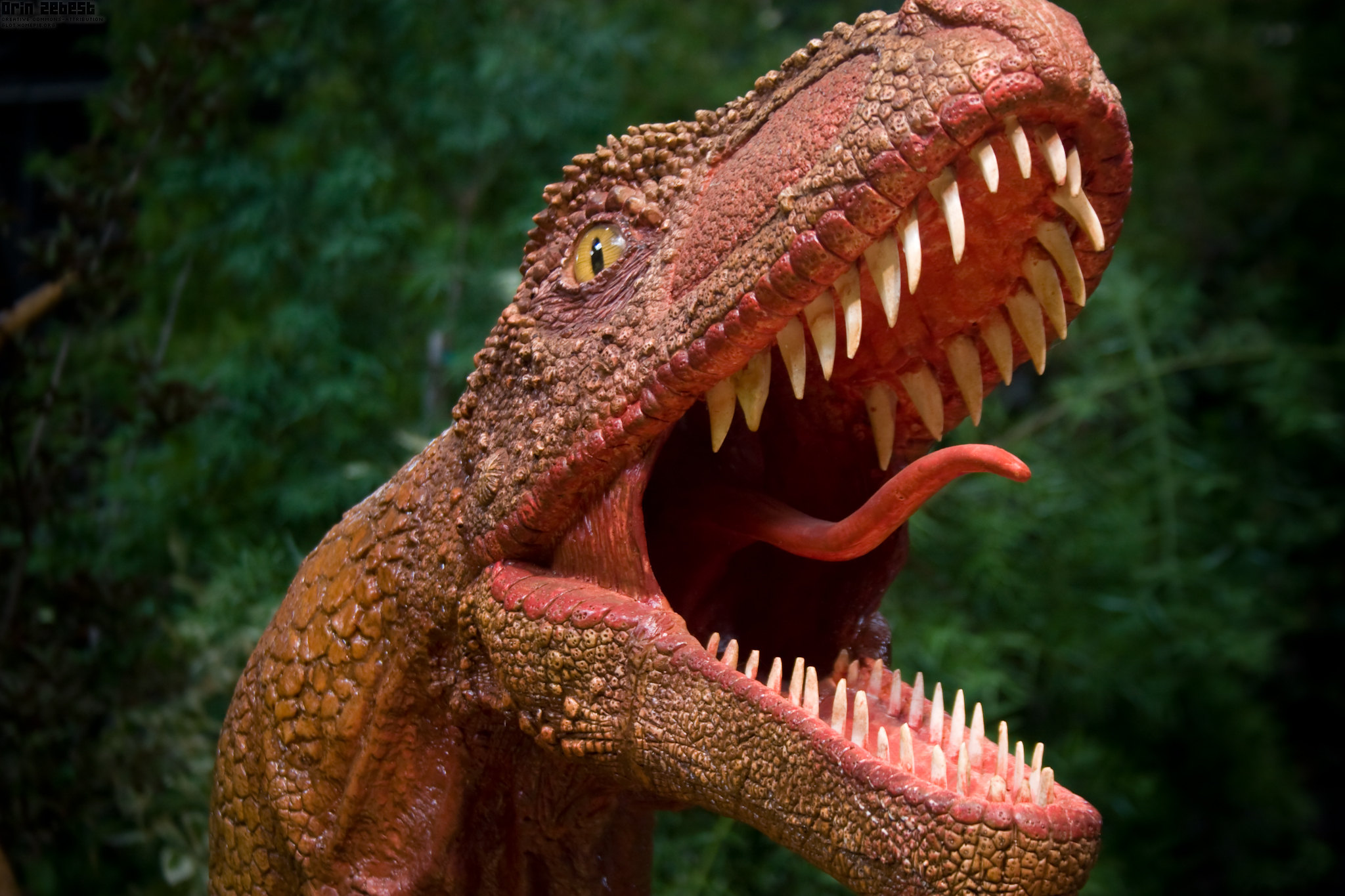 Dinosaurs May Have Cooed, Not Roared