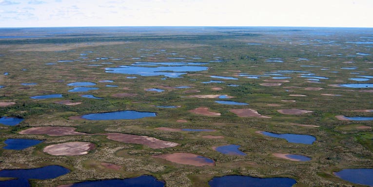 Big Pic: The Subarctic Lakes Of Canada Are Drying Up