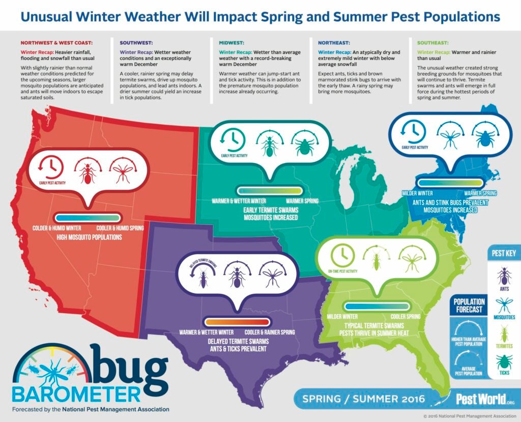 Bug Forecast for spring in the USA