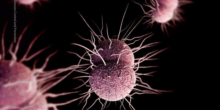 Antibiotic-resistant gonorrhea is a huge problem, and it’s only getting worse