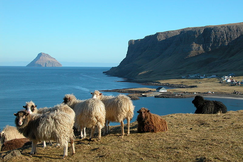 Faroe Islands Wants To Sequence The Genes Of Every One Of Its Citizens