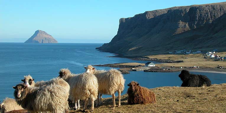 Faroe Islands Wants To Sequence The Genes Of Every One Of Its Citizens