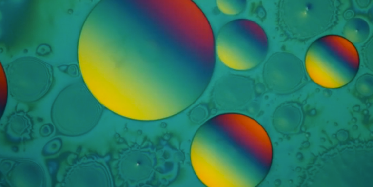 See The Microscopic World In Motion