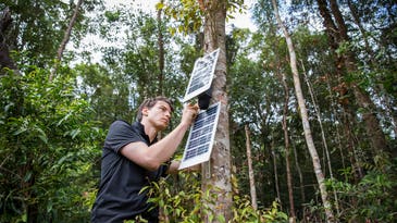 This engineer is using old cell phones to stop illegal logging