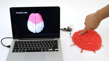 What a Jell-O brain tells us about the future of human-machine interaction