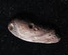 MU69 as one object